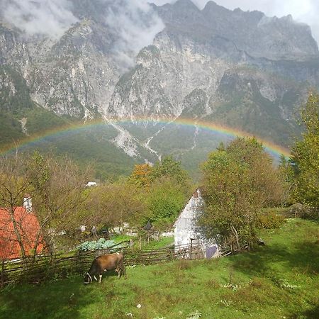 Bed and Breakfast Bujtina Milani Шкодер Экстерьер фото