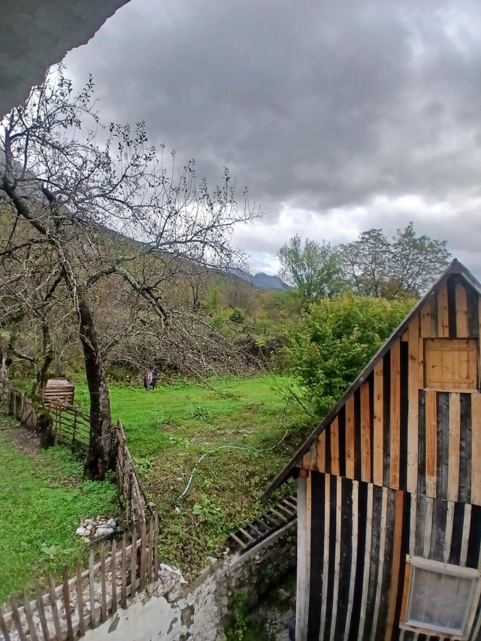 Bed and Breakfast Bujtina Milani Шкодер Экстерьер фото